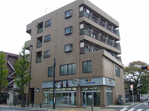 �ѥƥ���1��