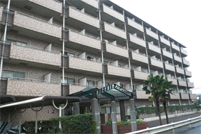 �����ѥ쥹�ơ��������