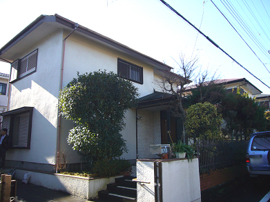 ����Į�߲�