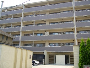 �����ѥ쥹�ơ����塹��