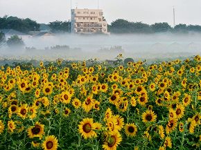 ����ڥ�塼��