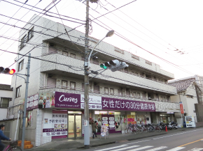 �ץ����ɻҰ�